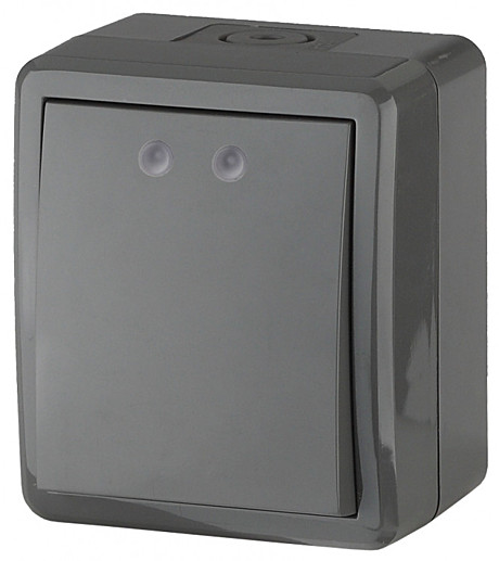 Переключатель IP54, 10АХ-250В, ОУ, Эра Эксперт, серый