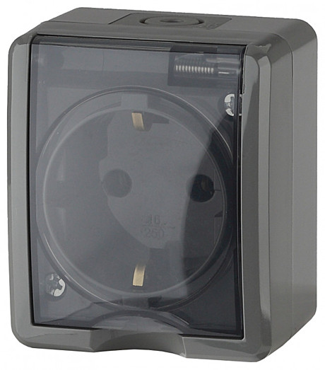 Розетка 2P+E IP54, 16АХ-250В, ОУ, Эра Эксперт, серый